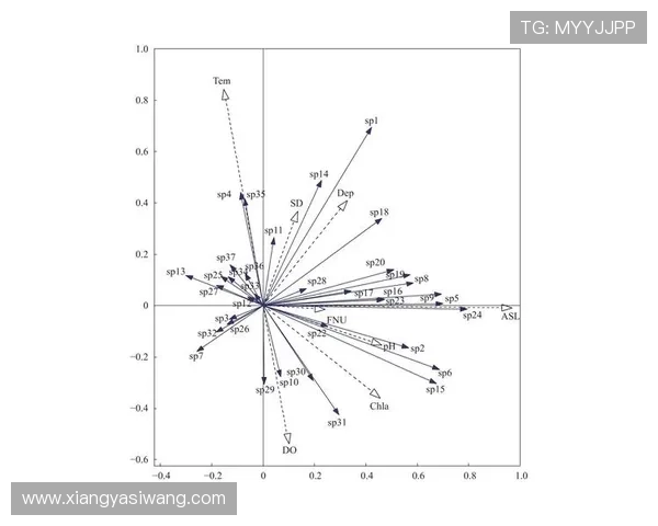 亚星平台怎么样：支付方式多样性与资金安全保障分析