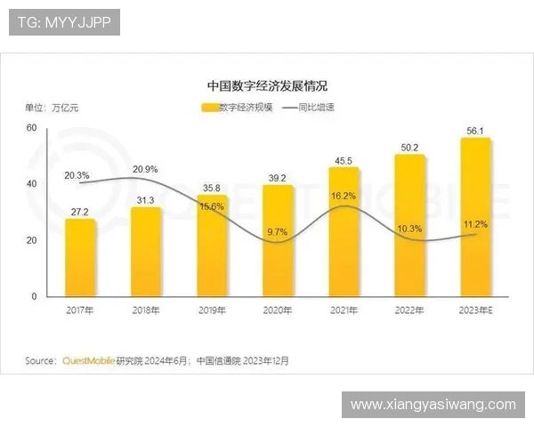 亚星正网合作未来趋势：把握数字经济发展新风口的战略布局