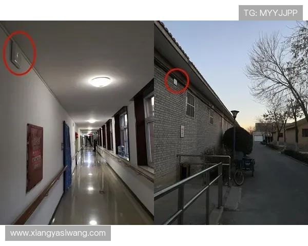 亚星正网登录入口适配多终端操作指南，PC端手机端均可无障碍登录