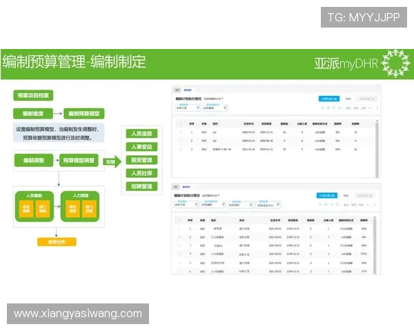 亚星管理平台官网：企业财务管理与人力资源管理的专业工具介绍
